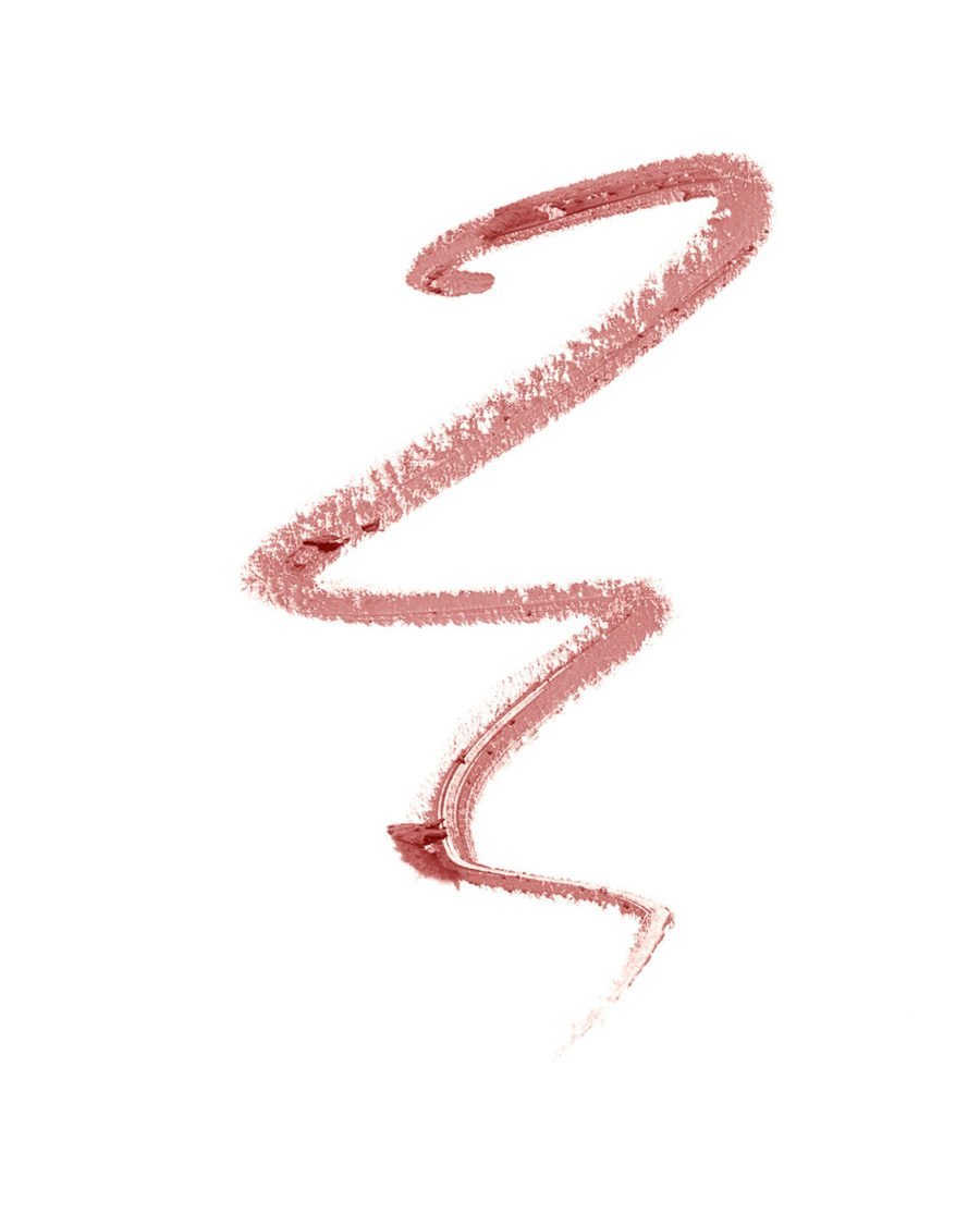 ERRE DUE Blush SILKY PREMIUM LIP DEFINER Nr. 501 ilgalaikis lūpų pieštukas