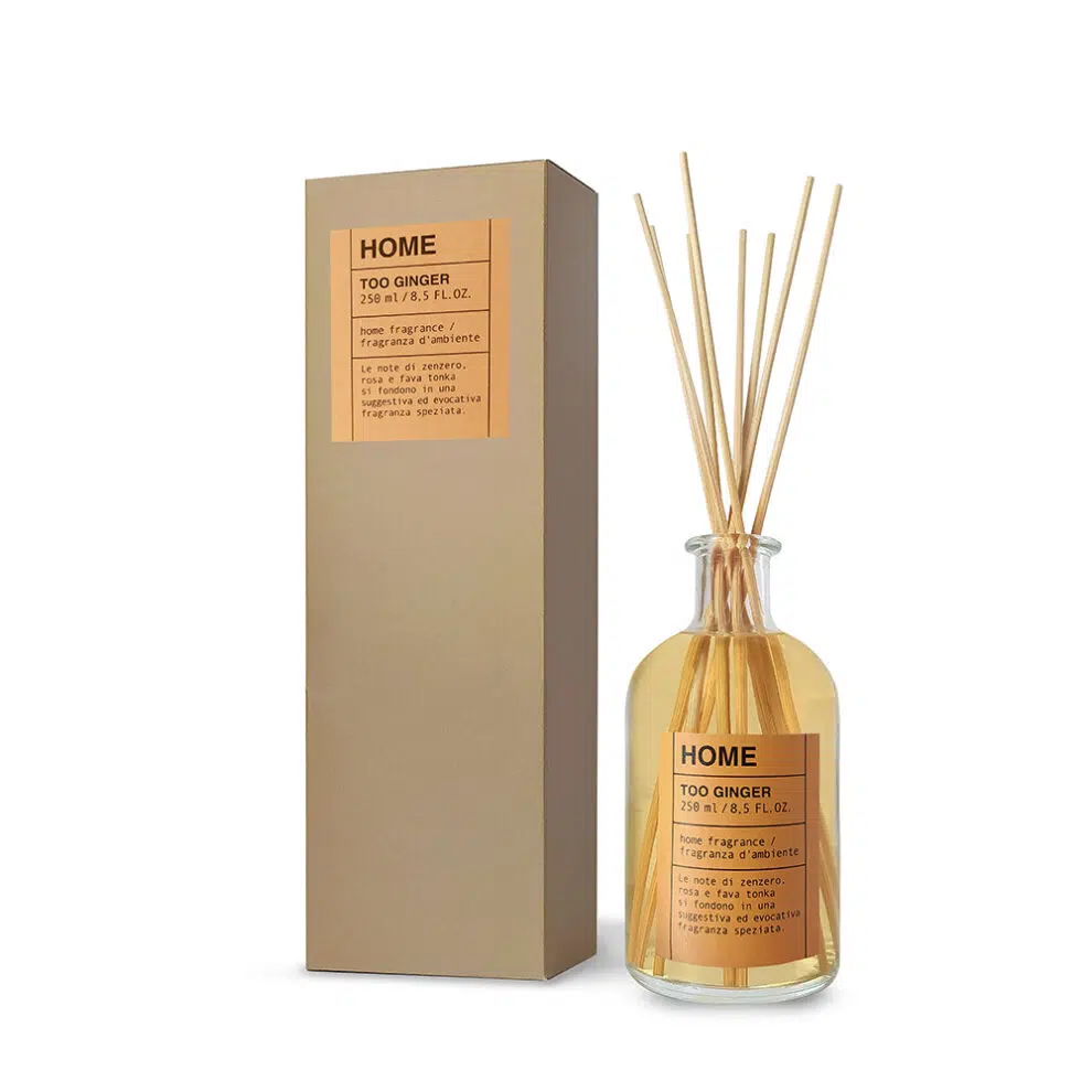 LINEA HOME TOO GINGER namų kvapų difuzorius, 250ml
