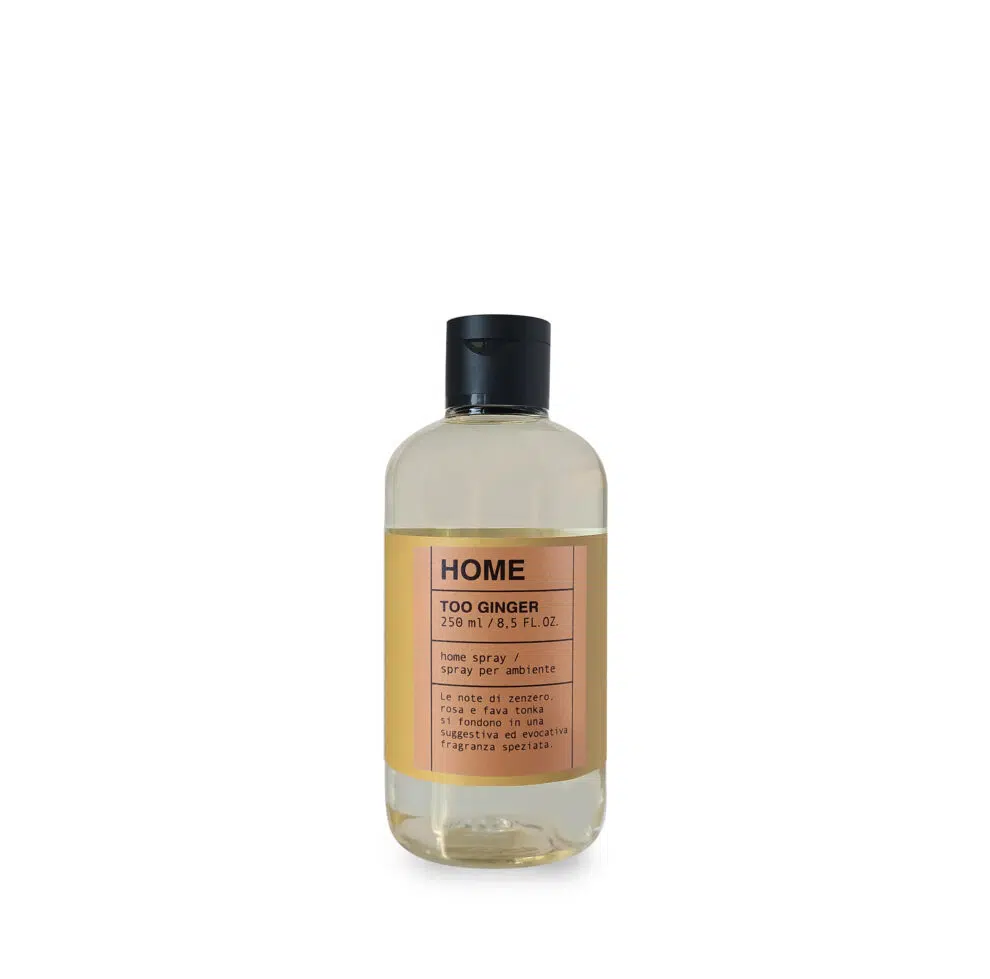 LINEA HOME namų kvapų papildymas TOO GINGER, 250ml