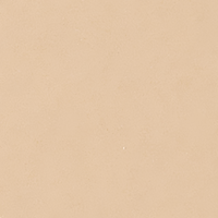 PAESE 010 LIGHT BEIGE ryžių biri pudra su atspalviu, 10g